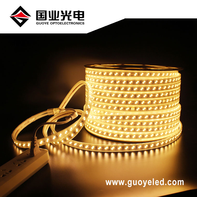 LED páskové svetlo 110V 220V