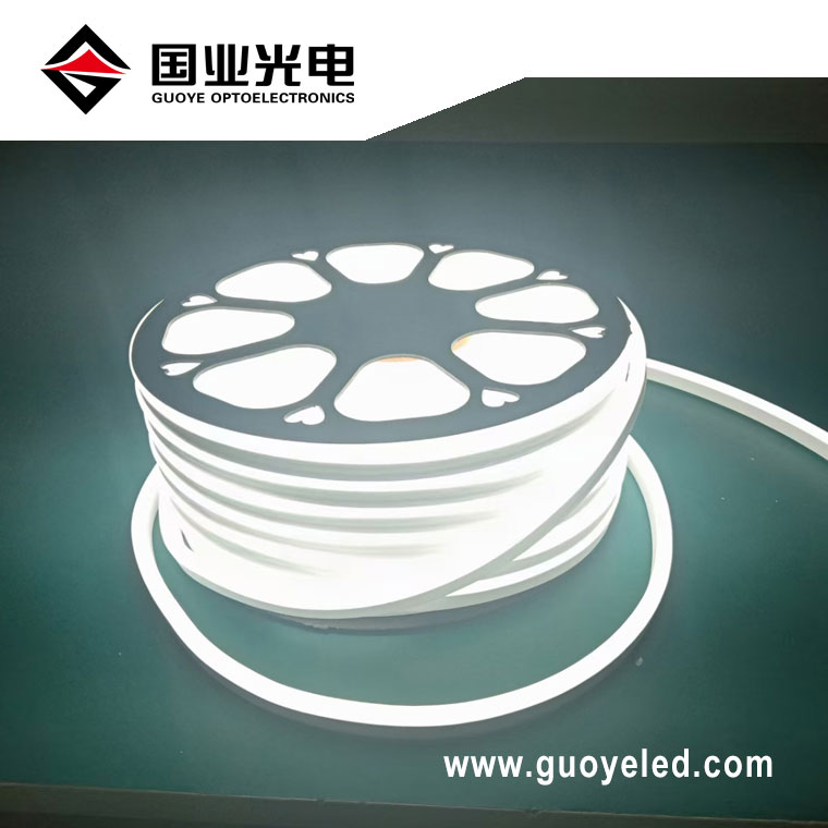 Neónová LED flex 220v
